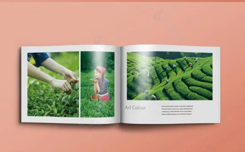浅谈茶叶公司宣传册设计的基本作用-茶叶公司宣传册设计